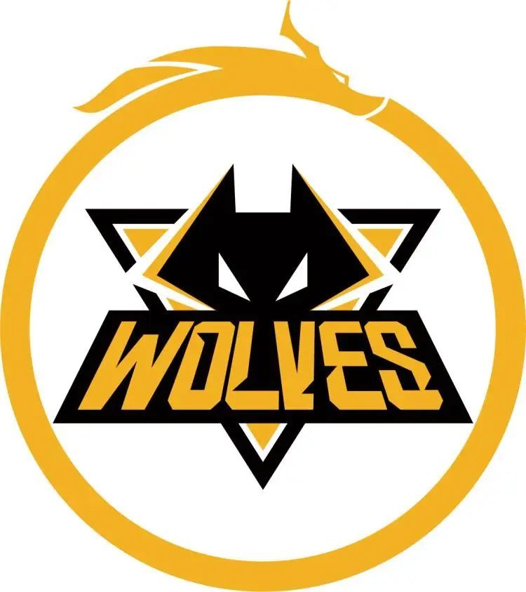 JW 在过去两年中赢得了他的第一个 lan 奖杯